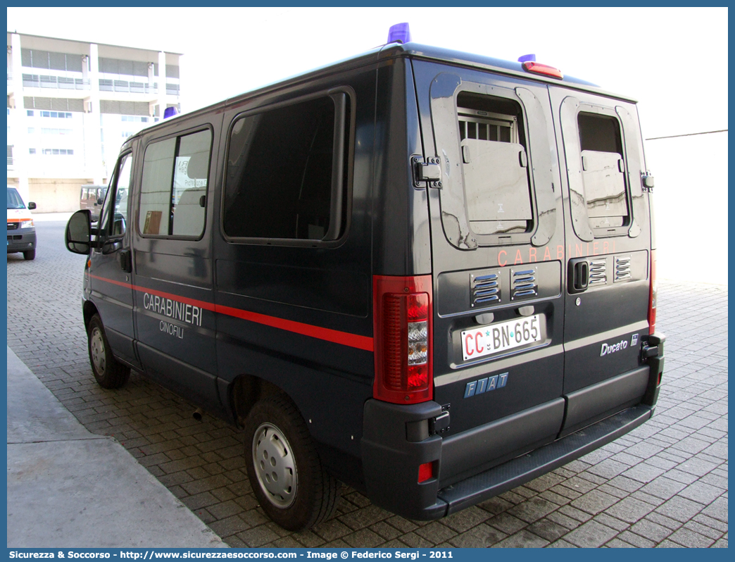 CC BN665
Arma dei Carabinieri
Centro e Nuclei Cinofili
Fiat Ducato II serie restyling
Parole chiave: CC;C.C.;Arma;Carabinieri;Centro;Nucleo;Nuclei;Cinofili;Fiat;Ducato;BN665