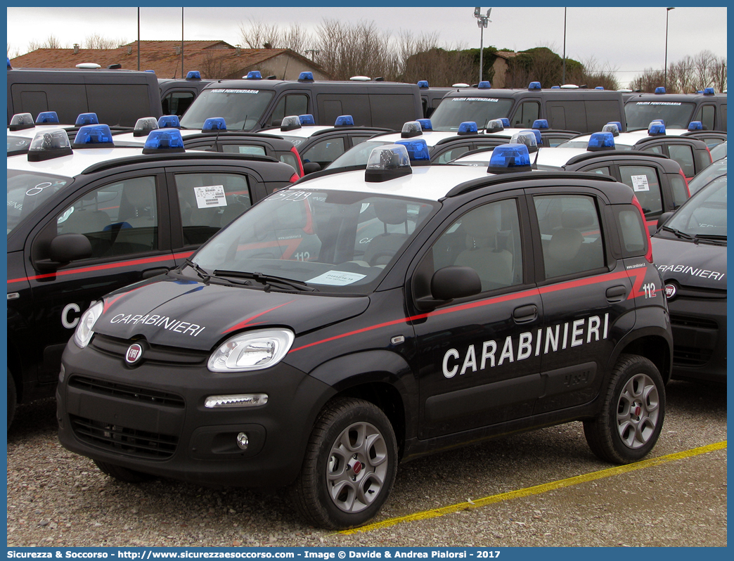 -
Arma dei Carabinieri
Fiat Nuova Panda 4x4 II serie
Allestitore Focaccia Group S.r.l.
(II fornitura)
Parole chiave: CC;C.C.;Arma;dei;Carabinieri;Fiat;Panda;4x4;Focaccia