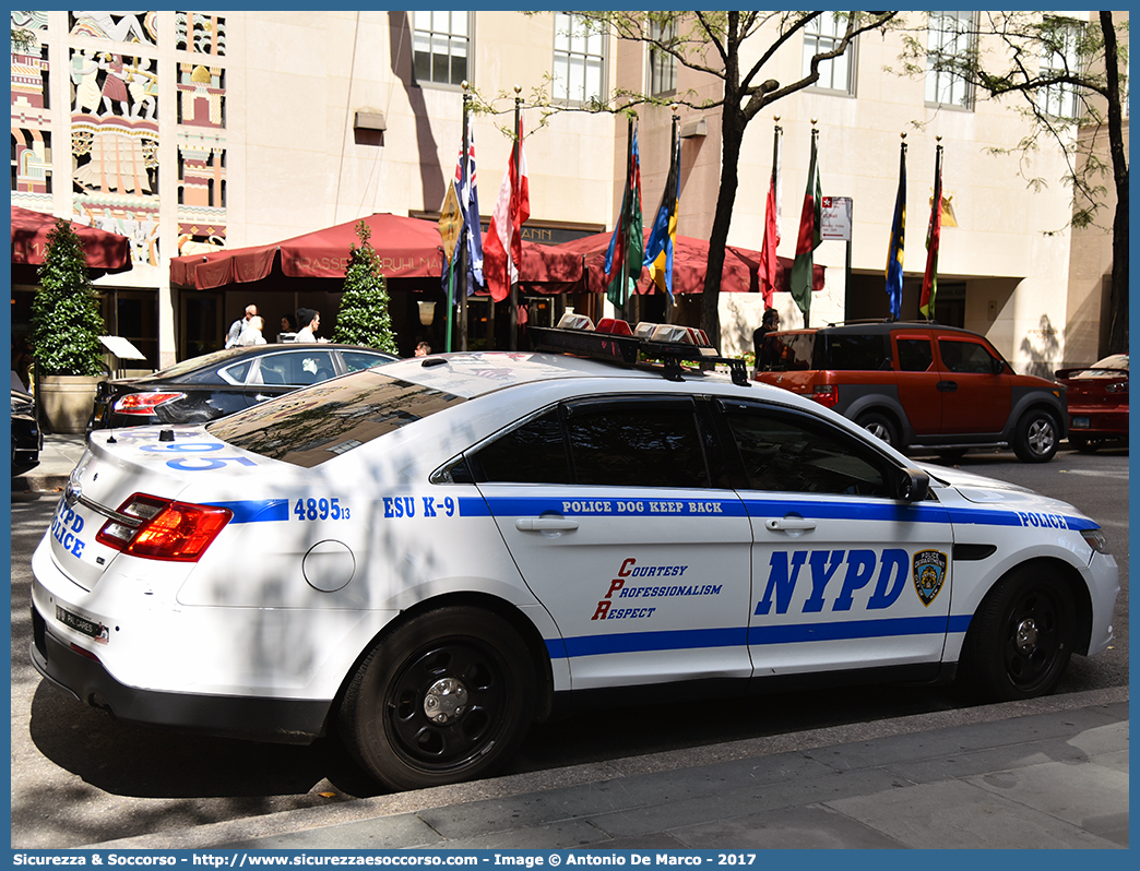 4895
United States of America
New York Police Department
Emergency Service Unit K-9
Ford Police Interceptor Sedan
Parole chiave: USA;U.S.A.;United;States;of;America;NYPD;N.Y.P.D.;New;York;Police;Department;ESU;ESS;E.S.U.;E.S.S.;Emergency;Service;Unit;Squad;Ford;Interceptor;Sedan