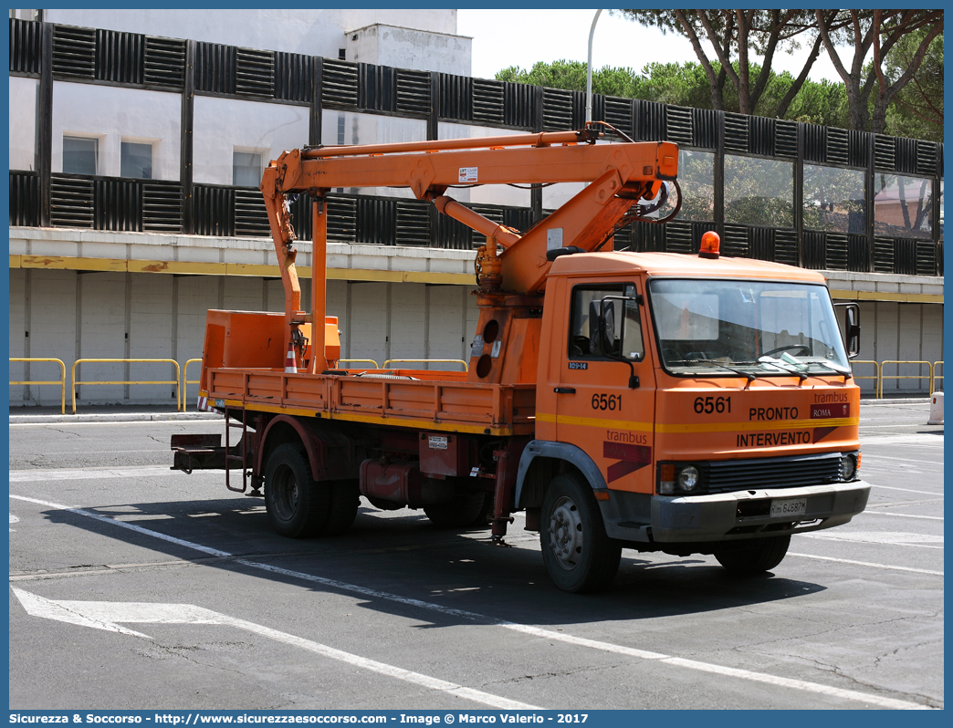 6561
ATAC S.p.A.
Pronto Intervento
Iveco 109-14
Allestitore Cella S.p.A.
Parole chiave: ATAC;Soccorso;Tram;Bus;Autobus;Controllo;Linea;Aerea;Iveco;109-14;Cella