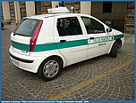 fiat_punto_moncalieri_002.jpg