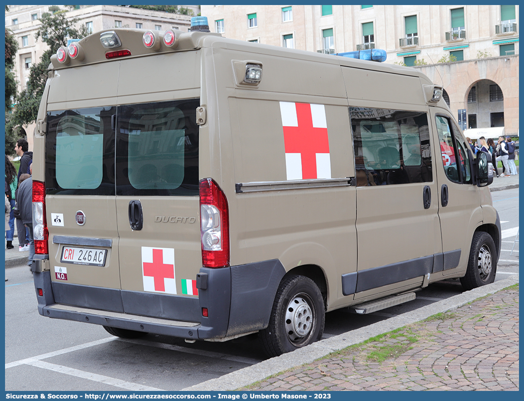 CRI 246AC
Croce Rossa Italiana
Corpo Militare
Fiat Ducato III serie
Allestitore Mobitecno - NewCoCar S.r.l.
Parole chiave: CRIM;C.R.I.M.;Croce;Rossa;Italiana;Corpo;Militare;Fiat;Ducato;Mobitecno;NewCoCar